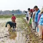 ITC-MSK Project Boosts Livelihoods and Diversification for Farmers in Chhaygaon Rampur area