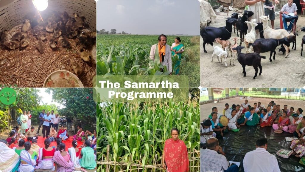 Samartha Programme: Deepening Flood-Resilient Livelihoods in Morigaon District, Assam